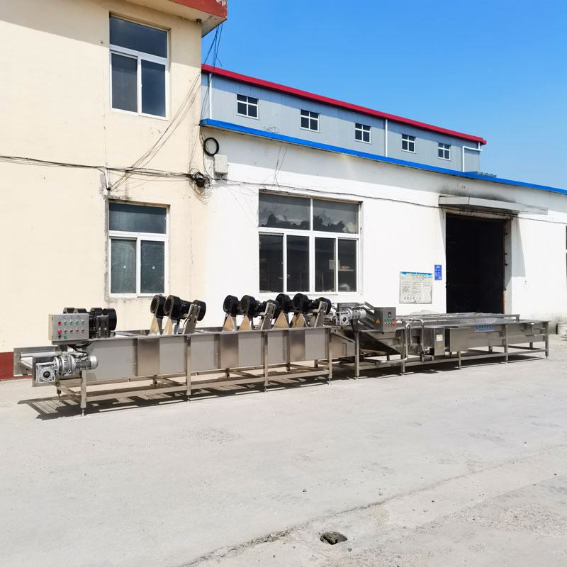 枸杞（qǐ）葡萄清洗（xǐ）機